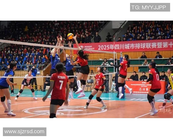 成都排球队逆袭之路：从低谷到巅峰的杯赛传奇故事